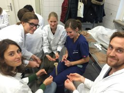 Ambulanztrainer 2015
